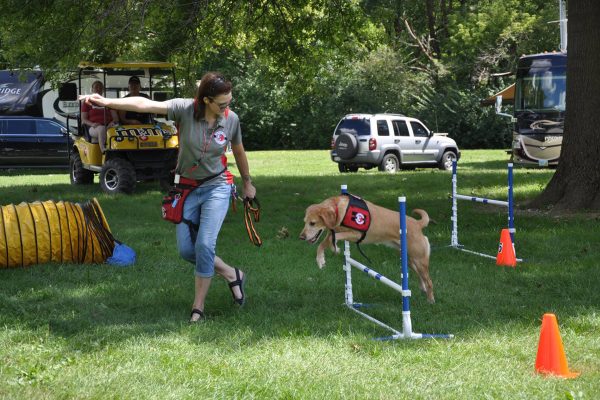 pfrv gallery other 110